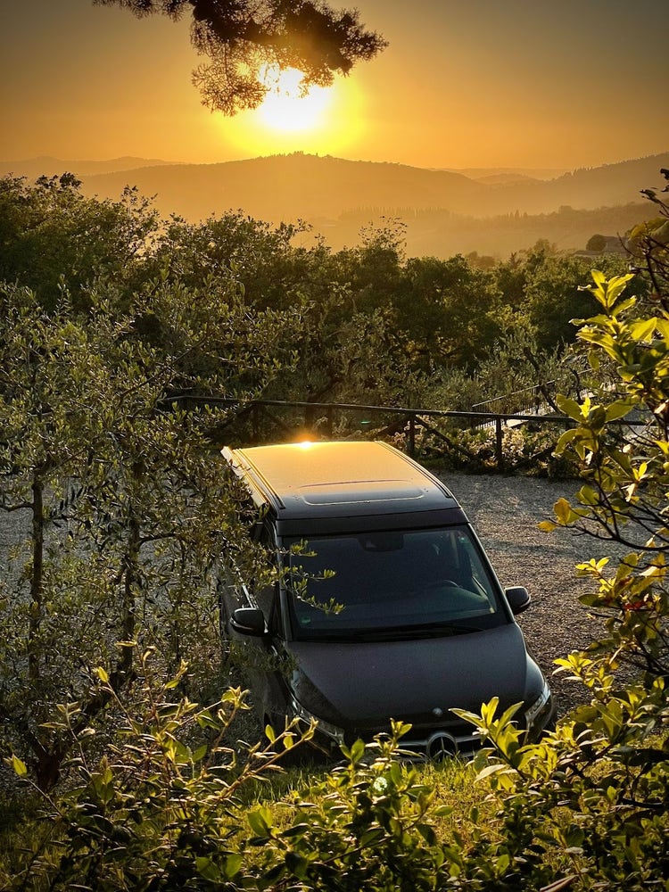 Unsere treuen Van-Begleiter